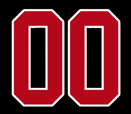 Oakridge Aeros Team Helmet Stickers